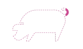 Stippellijn in de vorm van een varken voor 2,77% gevuld met roze