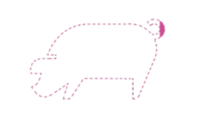 Stippellijn in de vorm van een varken voor 1,94% gevuld met roze